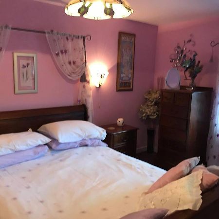 Cosy Cottage For Ecotourism Lovers Near Corwen Bagian luar foto