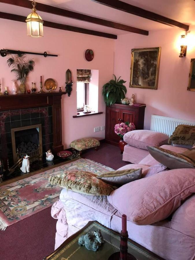 Cosy Cottage For Ecotourism Lovers Near Corwen Bagian luar foto