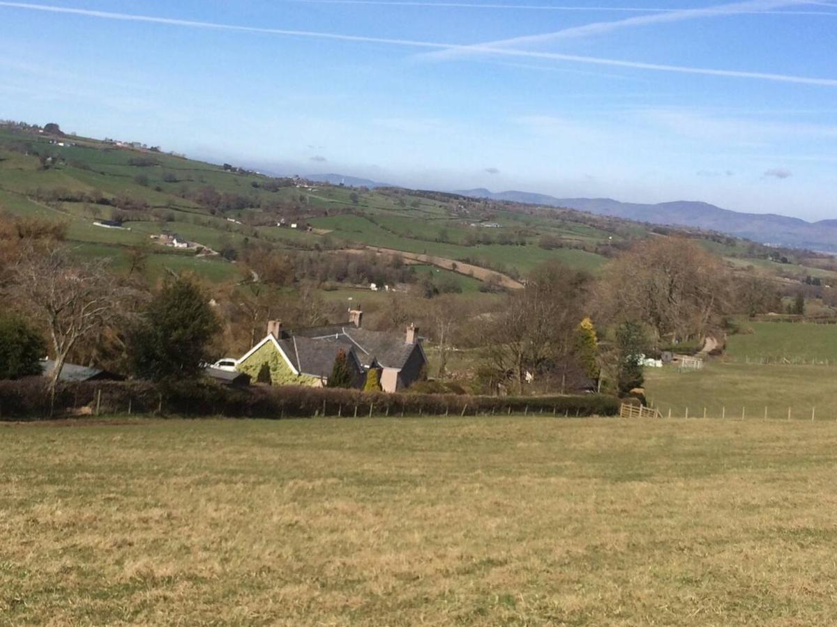 Cosy Cottage For Ecotourism Lovers Near Corwen Bagian luar foto