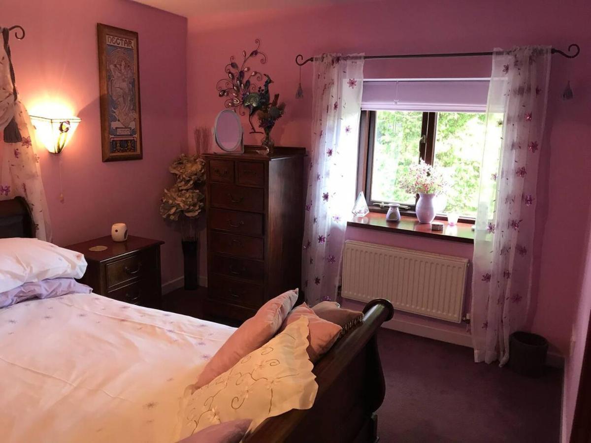 Cosy Cottage For Ecotourism Lovers Near Corwen Bagian luar foto