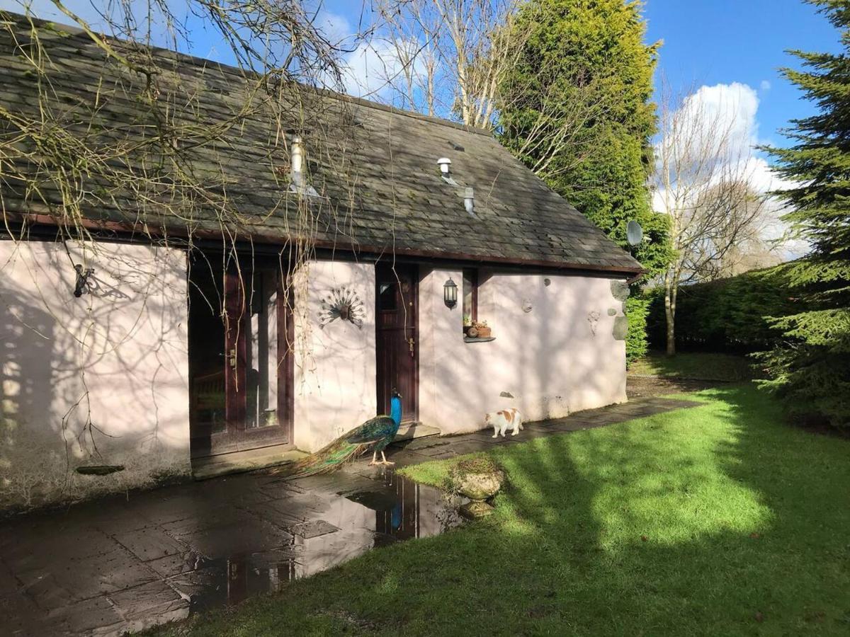 Cosy Cottage For Ecotourism Lovers Near Corwen Bagian luar foto