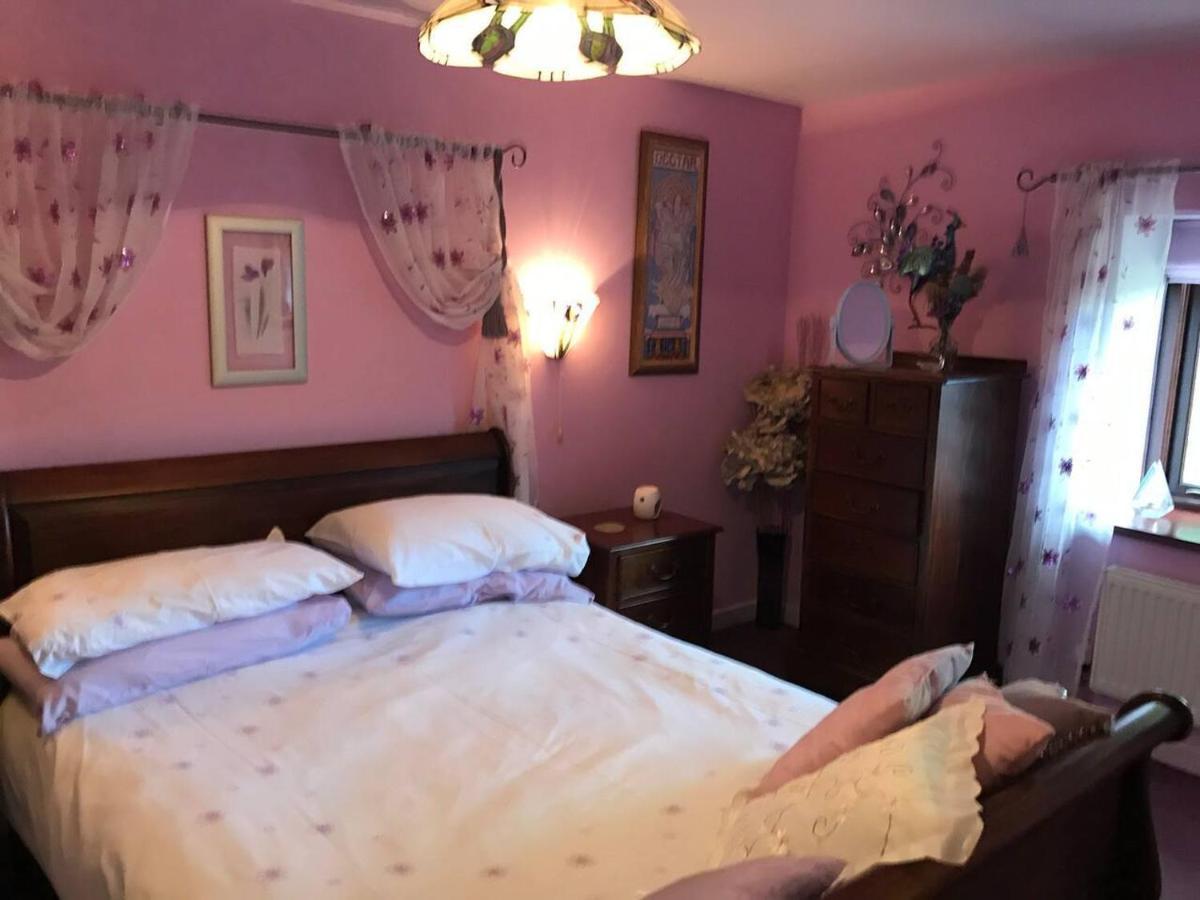 Cosy Cottage For Ecotourism Lovers Near Corwen Bagian luar foto