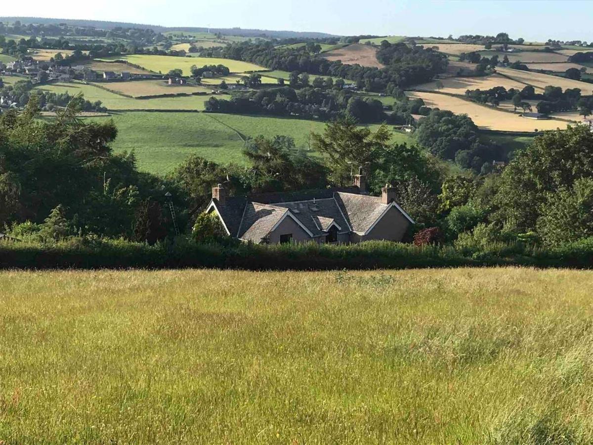 Cosy Cottage For Ecotourism Lovers Near Corwen Bagian luar foto