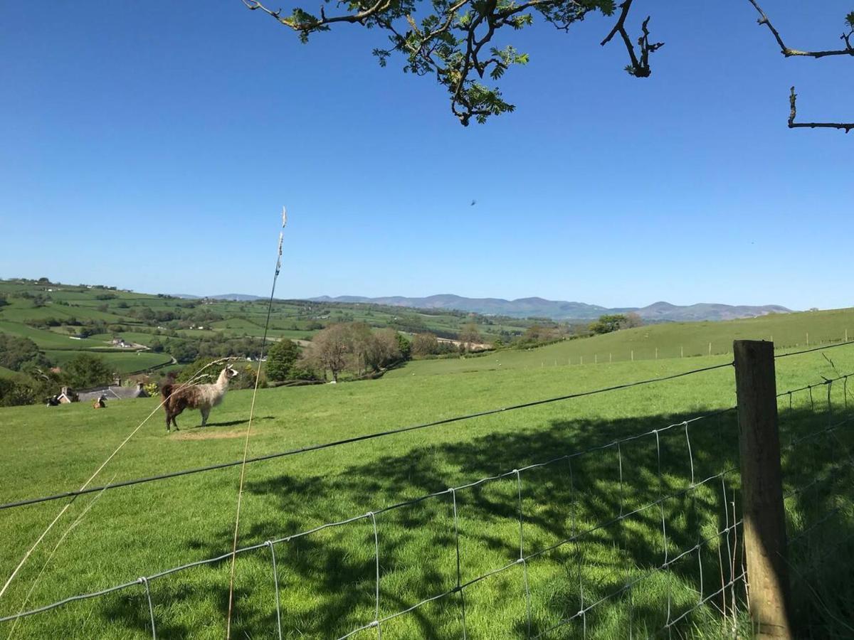 Cosy Cottage For Ecotourism Lovers Near Corwen Bagian luar foto