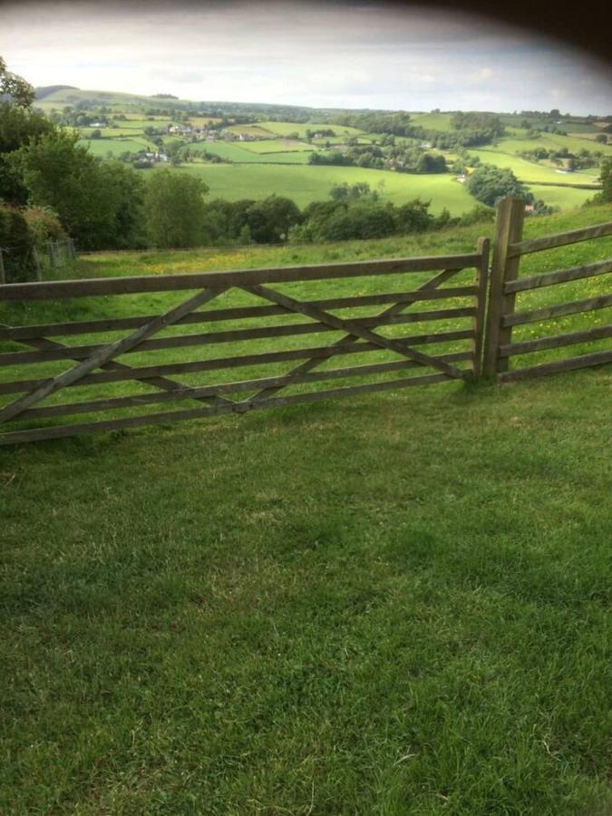Cosy Cottage For Ecotourism Lovers Near Corwen Bagian luar foto